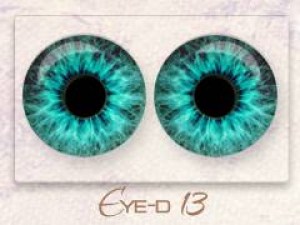 Eye-d 13